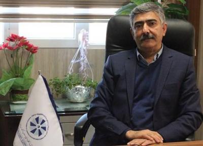 بخشی نگری، ضربه ای مهلک به تن رنجور اقتصاد