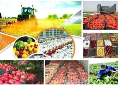 چند طرح کلان ملی فناوری در حوزه کشاورزی و صنایع غذایی حمایت شد
