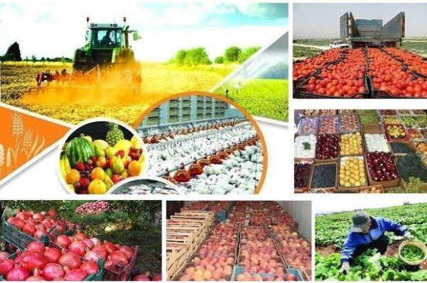 چند طرح کلان ملی فناوری در حوزه کشاورزی و صنایع غذایی حمایت شد